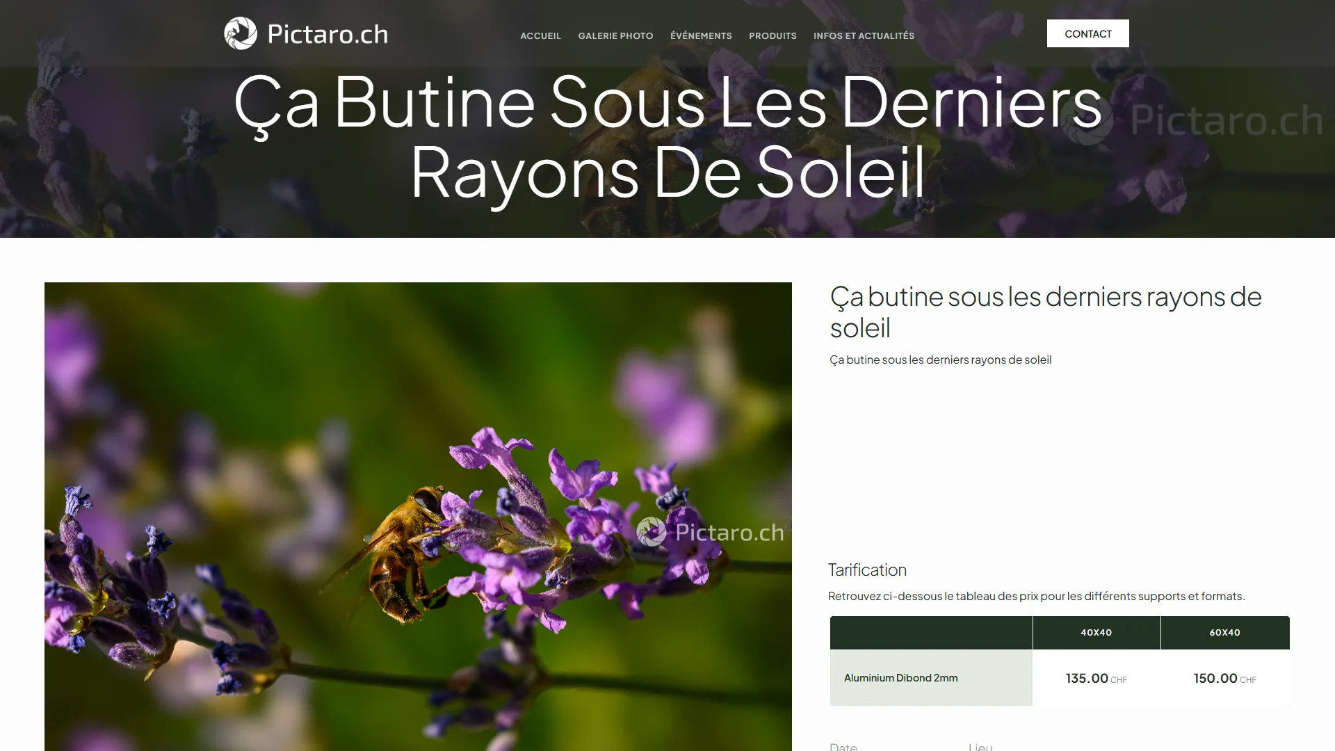 La fiche d'un cliché : l'œuvre, sa tarification, sa demande de devis.