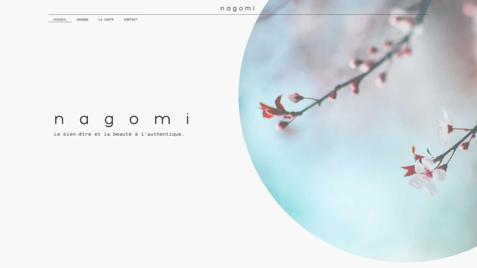 Nagomi: Web development by e-Medias Group